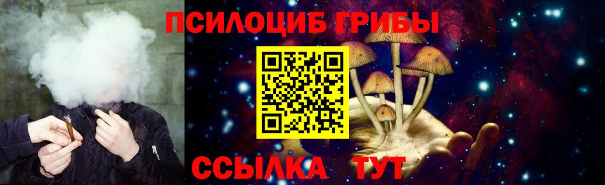 Электрогорск  Псилоцибиновые грибы Psilocybine cubensis  купить наркотик  Псилоцибиновые грибы Cubensis  Вход с VPN 